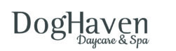 DogHaven and Spa